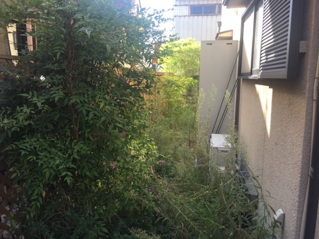 庭の草刈り(裏庭・玄関・その他)施工前